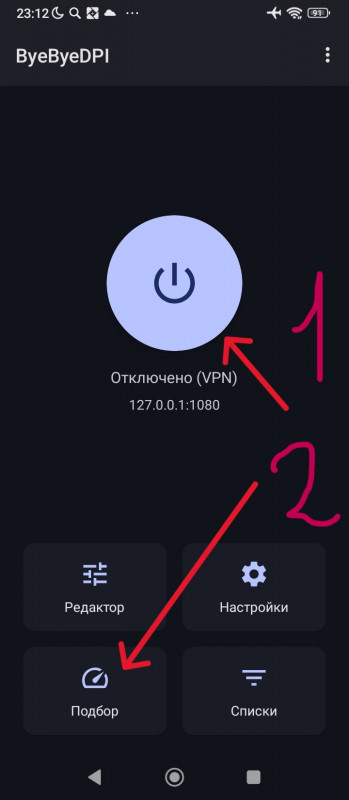 ByeByeDPI