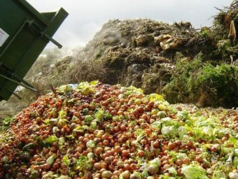 Тонны овощей гниют на свалке: карантин больно ударил по украинским фермерам